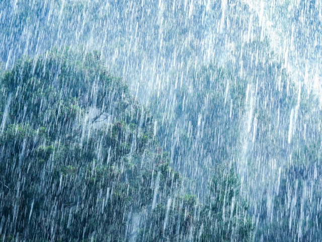 土砂降りの雨
